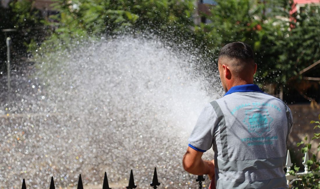 Aksaray’da günlerdir etkili olan aşırı sıcaklar, doğadaki canlıları da olumsuz