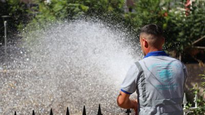 Aksaray’da günlerdir etkili olan aşırı sıcaklar, doğadaki canlıları da olumsuz