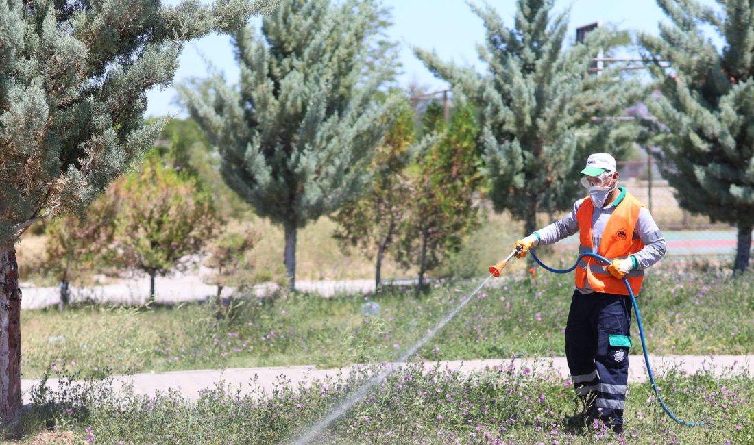 Aksaray Belediyesi tarafından yaz aylarında artış gösteren haşerelere karşı ilaçlama