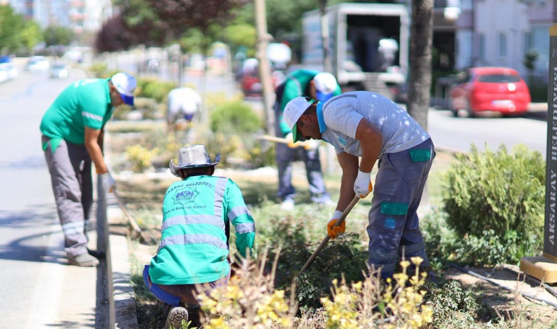 Aksaray Belediyesi, şehrin estetik görünümünü artırmak ve daha yaşanabilir bir