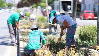 Aksaray Belediyesi, şehrin estetik görünümünü artırmak ve daha yaşanabilir bir