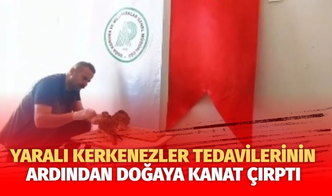 Aksaray Doğa Koruma ve Milli Parklar Şube Müdürlüğü tarafından doğada