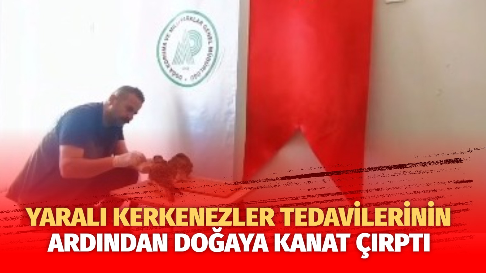 Aksaray Doğa Koruma ve Milli Parklar Şube Müdürlüğü tarafından doğada