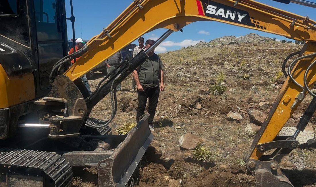 Aksaray’da 110 hektarlık alanda erozyona karşı doğa seferberliği başladı, fidanlar