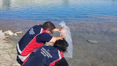5 ilçede ve il merkezinde yürütülen balıklandırma çalışmasıyla su kaynaklarına