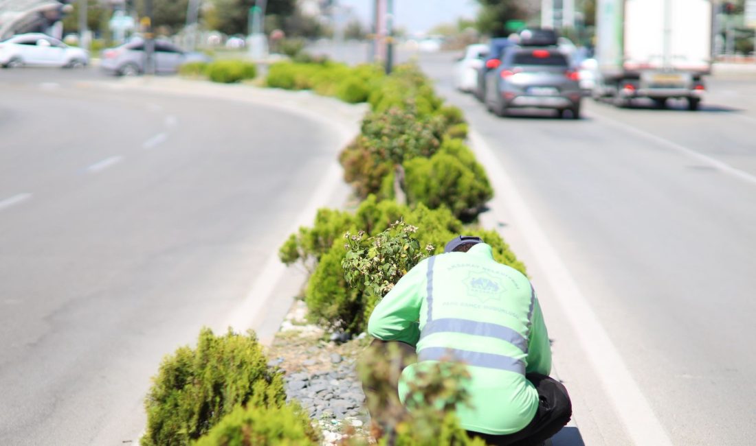 Aksaray Belediyesi tarafından şehir içerisinde icra edilen çalışmalar arasında yer