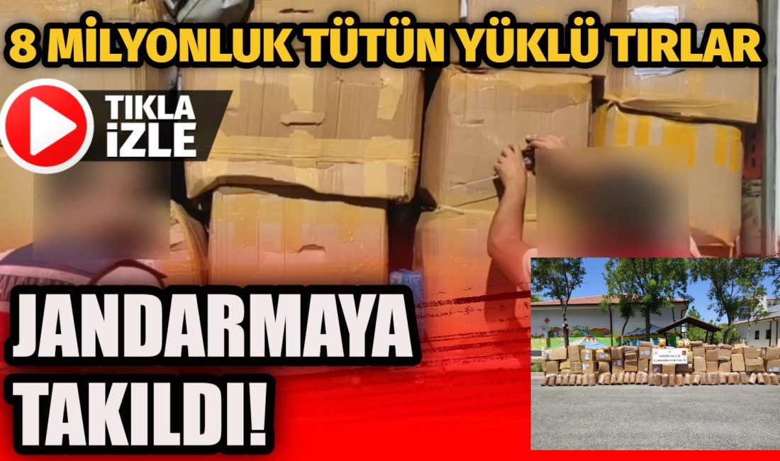 Taşpınar yol kontrolünde durdurulan 4 tırda 9.169 kilo bandrolsüz kıyılmış