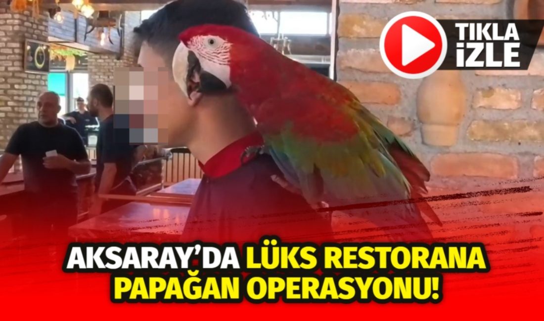 Aksaray’daki lüks restoranda yapılan baskında, yasaklı ve nesli tükenme tehlikesi