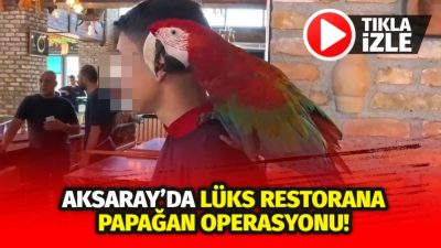 Aksaray’daki lüks restoranda yapılan baskında, yasaklı ve nesli tükenme tehlikesi
