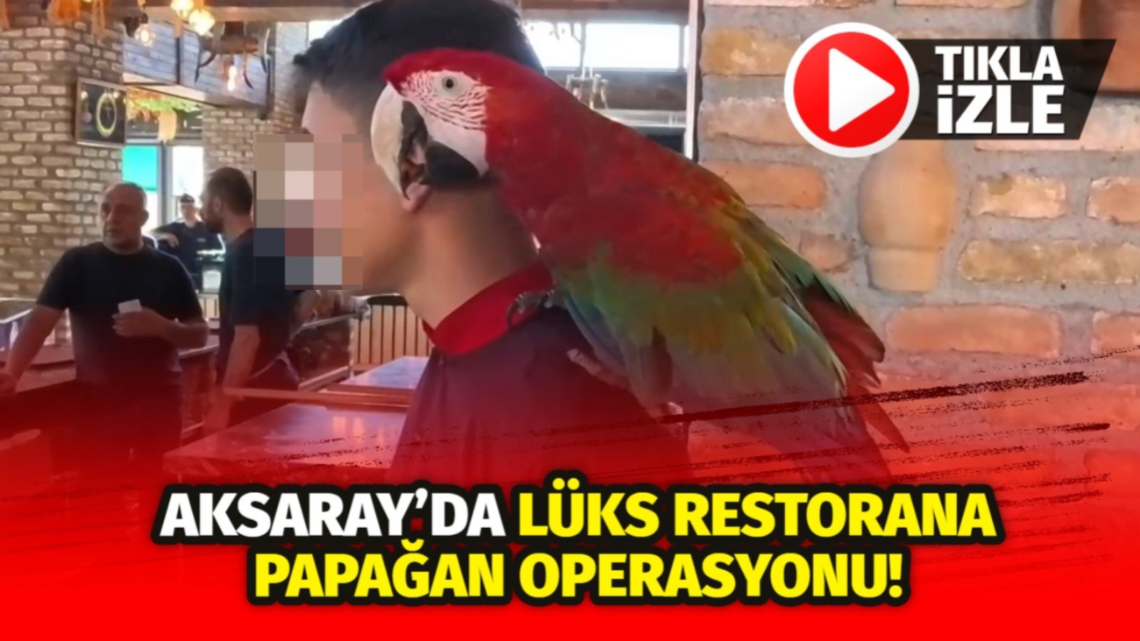 Aksaray’daki lüks restoranda yapılan baskında, yasaklı ve nesli tükenme tehlikesi