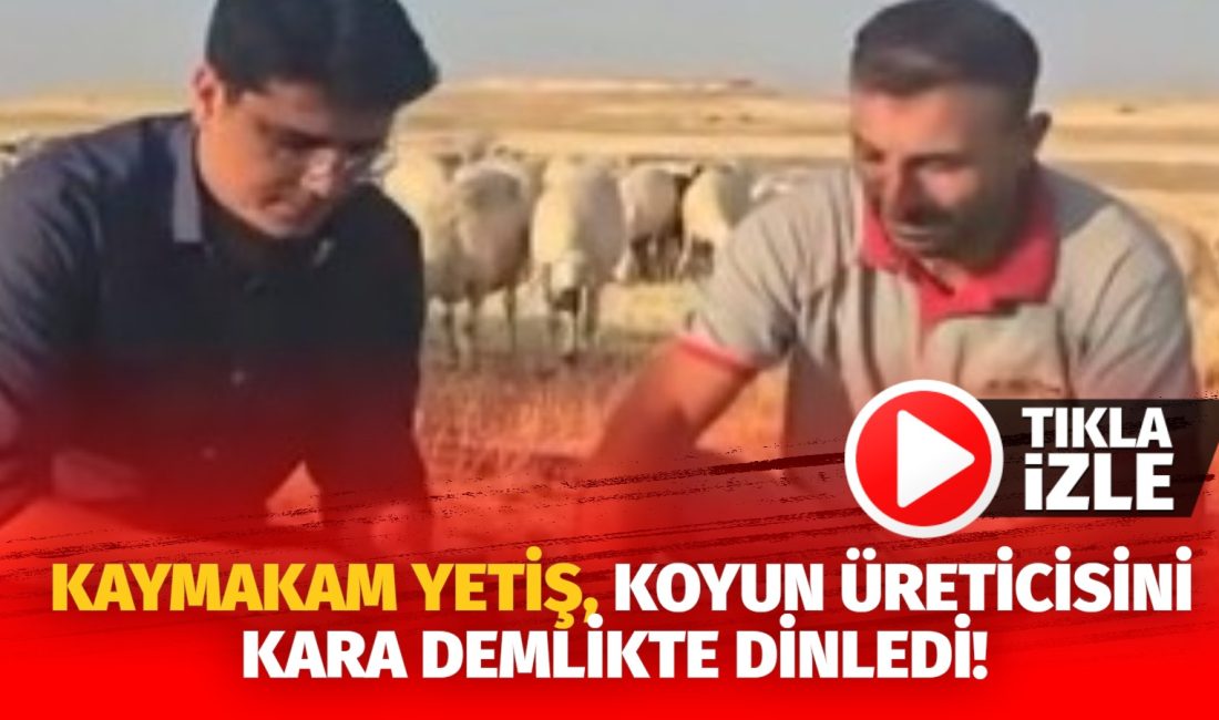 Taş üstünde kaynayan çay eşliğinde üreticinin derdini dinleyen Kaymakam Yetiş,