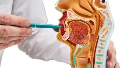 Biruni Üniversitesi Meslek Yüksekokulu Öğretim Üyesi ve Diş Hekimi Dr.