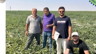 Aksaray Tarım ve Orman İl Müdürlüğü’nün yürüttüğü “Organik Tarımın Yaygınlaştırılması