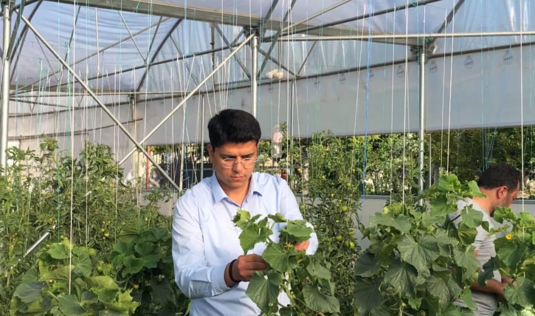 Güzelyurt Kaymakamı Muammer Yetiş, Belisırma köyünde seracılık faaliyeti yürüten çiftçiyi