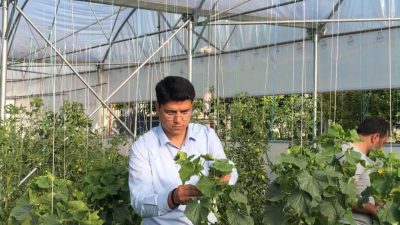 Güzelyurt Kaymakamı Muammer Yetiş, Belisırma köyünde seracılık faaliyeti yürüten çiftçiyi