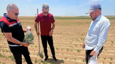 Aksaray İl Tarım ve Orman Müdürü Nejdet Demir, tarımsal üretimin