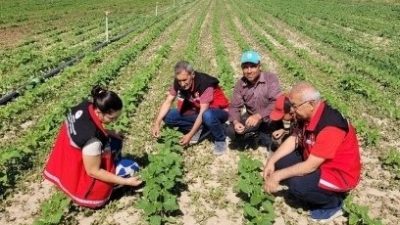 Aksaray Tarım ve Orman İl Müdürlüğü, tarımsal üretimde kalite ve