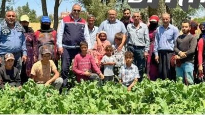 Tarım Müdürü Demir ve Ziraat Odası Başkanı Koçak, pancar tarlasında