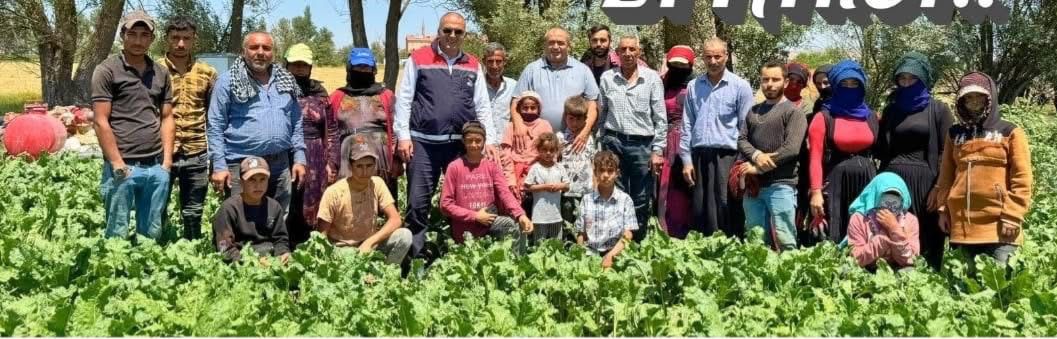 Tarımın emekçileriyle tarlada buluştular! Tarım Müdürü Demir ve Ziraat Odası Başkanı Koçak, pancar tarlasında