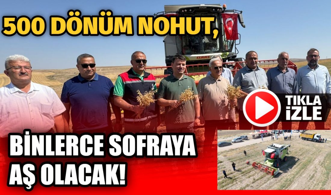 500 dönüm nohut, binlerce sofraya aş olacak! Aksaray Belediyesi, sosyal belediyecilik anlayışıyla Cumhuriyet Mahallesi ile Topakkaya arasında
