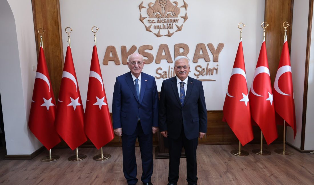 Cumhurbaşkanlığı Yüksek İstişare Kurulu Başkan Vekili ve Türkiye Büyük Millet