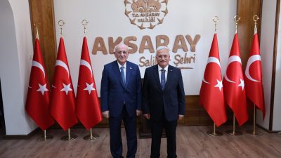 Cumhurbaşkanlığı Yüksek İstişare Kurulu Başkan Vekili ve Türkiye Büyük Millet