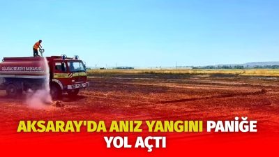 Aksaray'ın Gülağaç ilçesinde meydana gelen anız yangını paniğe yol açtı.