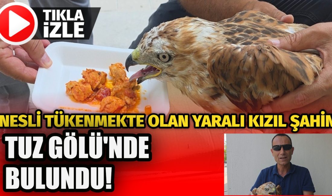 Aksaray’ın Eskil ilçesinde yer alan Tuz Gölü’nde, nesli tükenme tehlikesi