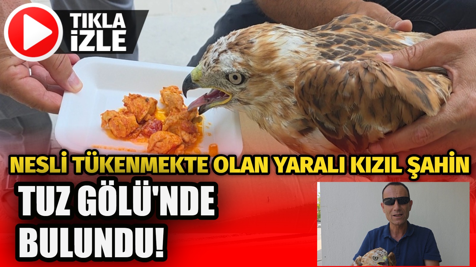 Aksaray’ın Eskil ilçesinde yer alan Tuz Gölü’nde, nesli tükenme tehlikesi