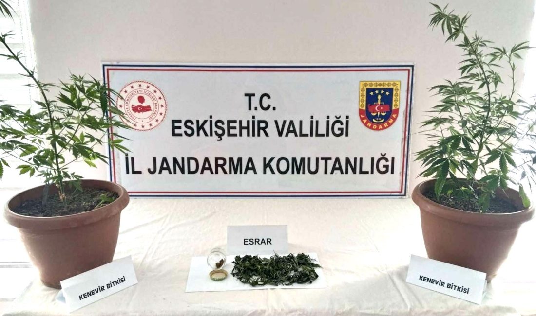 Eskişehir'in Odunpazarı ilçesinde  İl Jandarma Komutanlığı ekipleri tarafından düzenlenen operasyonda