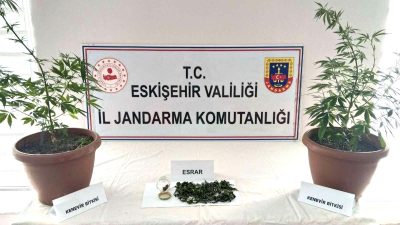 Eskişehir'in Odunpazarı ilçesinde  İl Jandarma Komutanlığı ekipleri tarafından düzenlenen operasyonda