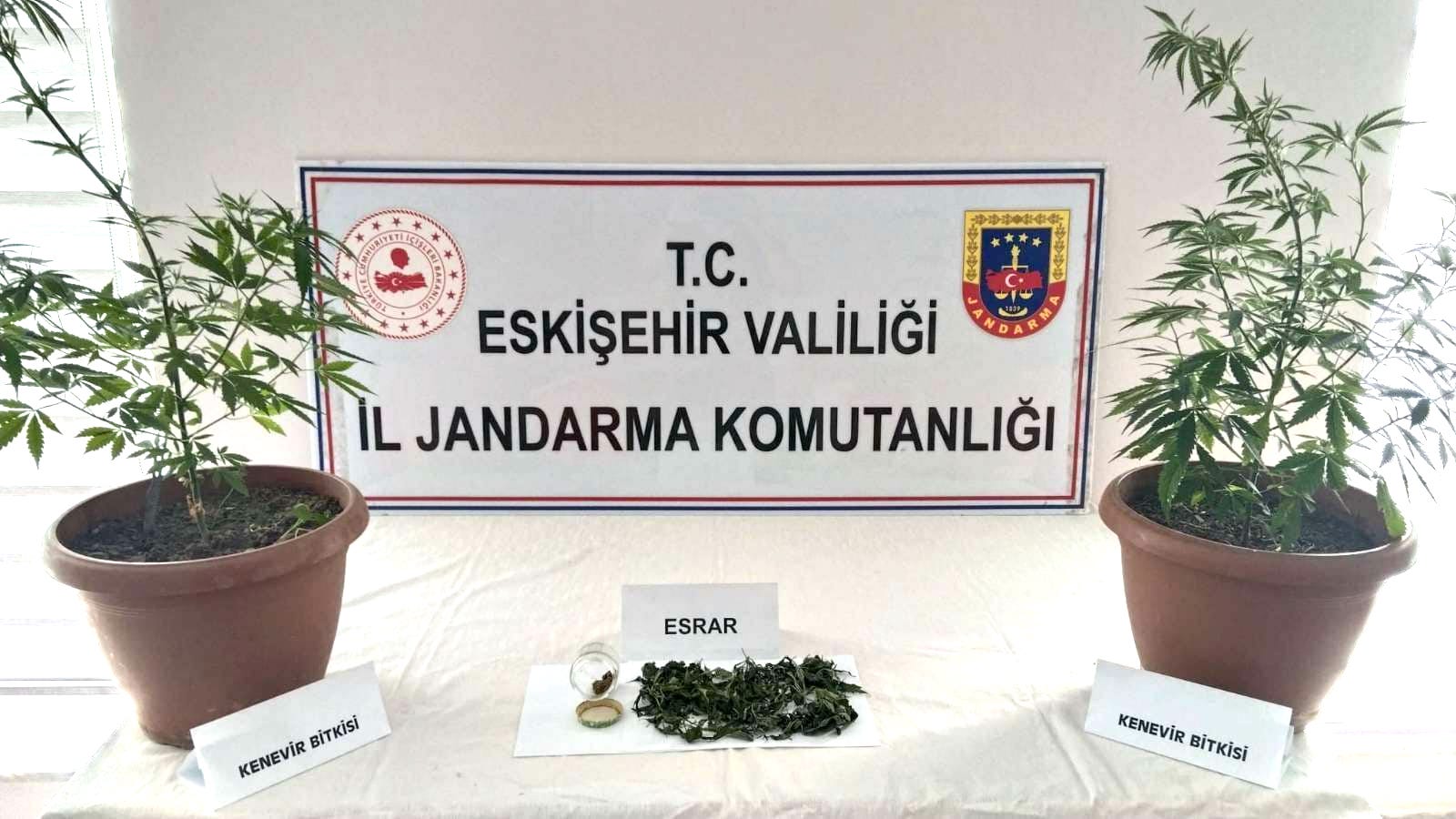 Eskişehir'in Odunpazarı ilçesinde  İl Jandarma Komutanlığı ekipleri tarafından düzenlenen operasyonda