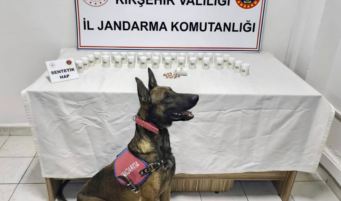 Kırşehir'de İl Jandarma Komutanlığı ekipleri tarafından düzenlenen uyuşturucu operasyonunda 1823
