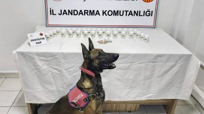 Kırşehir'de İl Jandarma Komutanlığı ekipleri tarafından düzenlenen uyuşturucu operasyonunda 1823