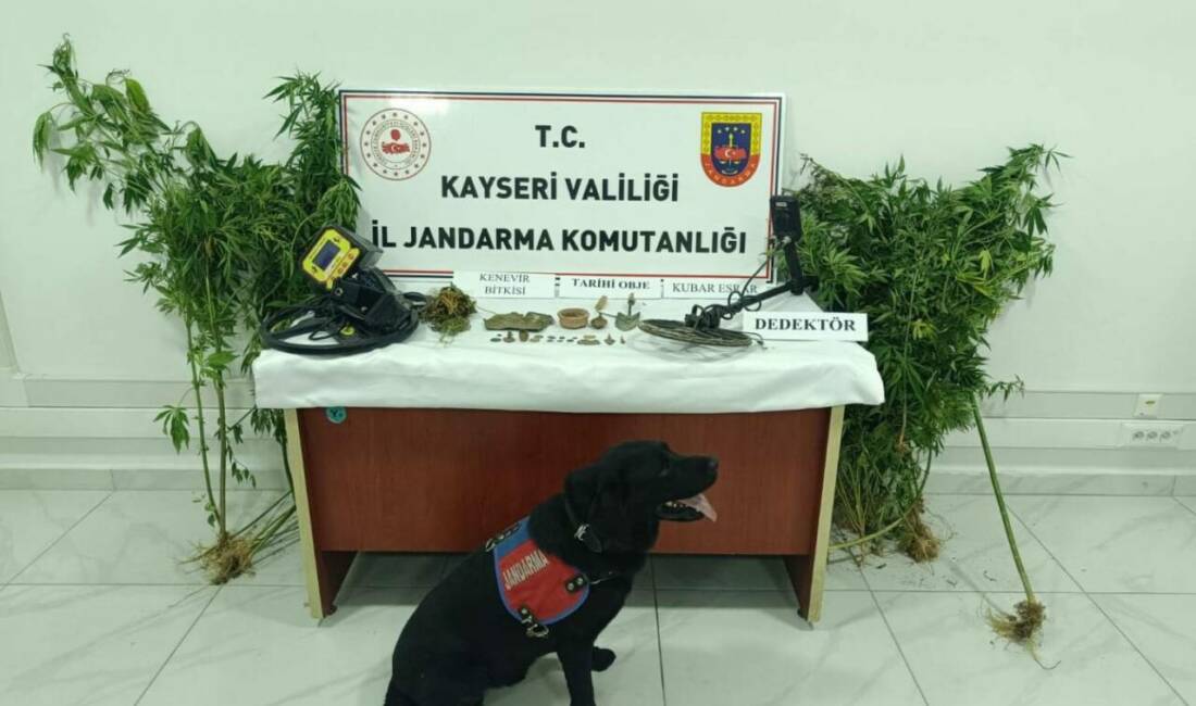 Kayseri'nin Develi ilçesinde İl Jandarma Komutanlığı tarafından düzenlenen uyuşturucu operasyonunda,