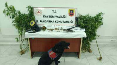 Kayseri'nin Develi ilçesinde İl Jandarma Komutanlığı tarafından düzenlenen uyuşturucu operasyonunda,
