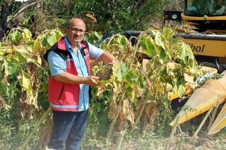 Aksaray İl Tarım ve Orman Müdürlüğü Bitkisel Üretim ve Bitki