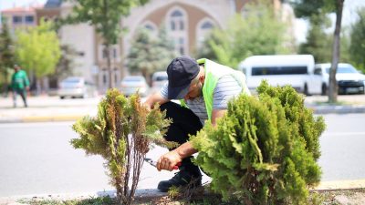 Aksaray Belediyesi, şehir genelindeki çevre düzenlemeleri ve yeşil alan bakım