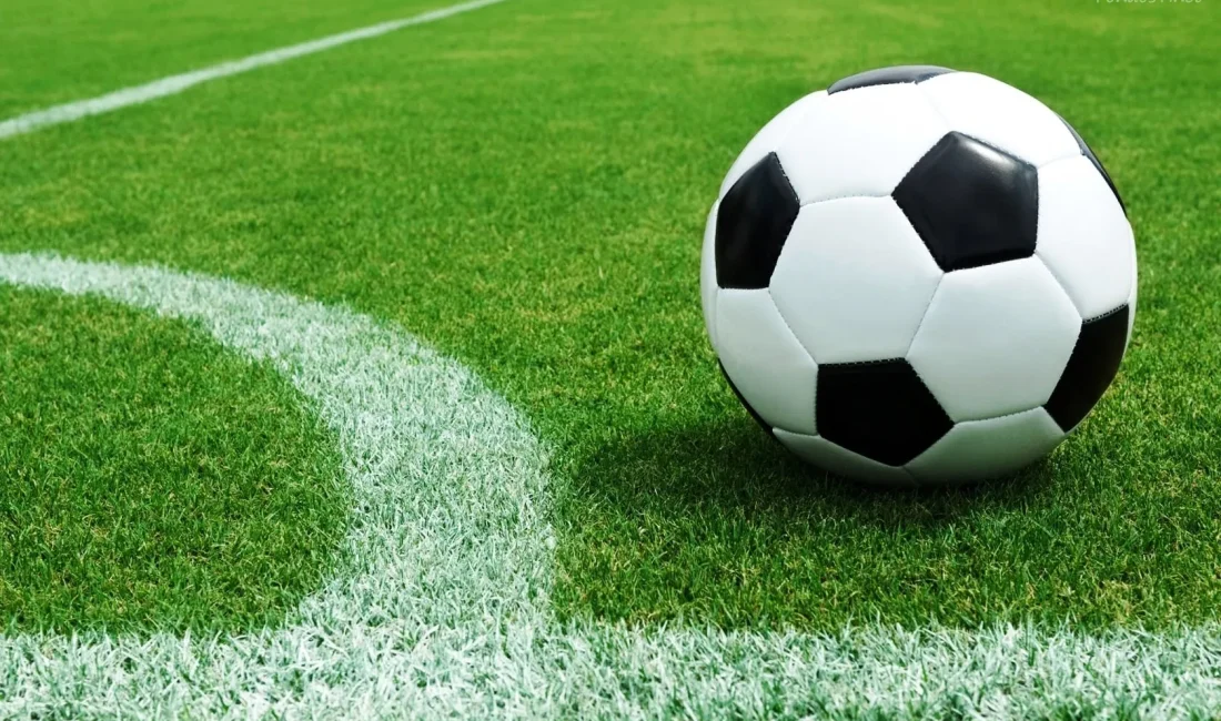 Türkiye Futbol Federasyonu tarafından yürütülen çalışmalar sonucunda, “Dijital Lisans ve