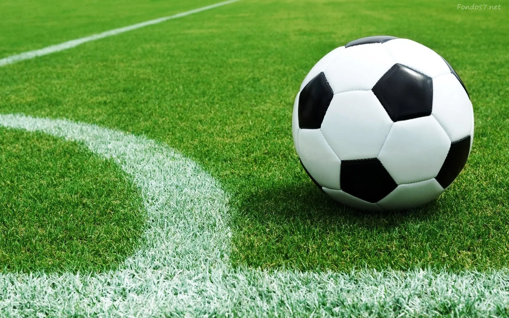 Türkiye Futbol Federasyonu tarafından yürütülen çalışmalar sonucunda, “Dijital Lisans ve
