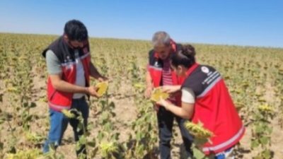 Aksaray İl Tarım ve Orman Müdürlüğü, Tarım Arazilerinin Etkinleştirilmesi Projesi