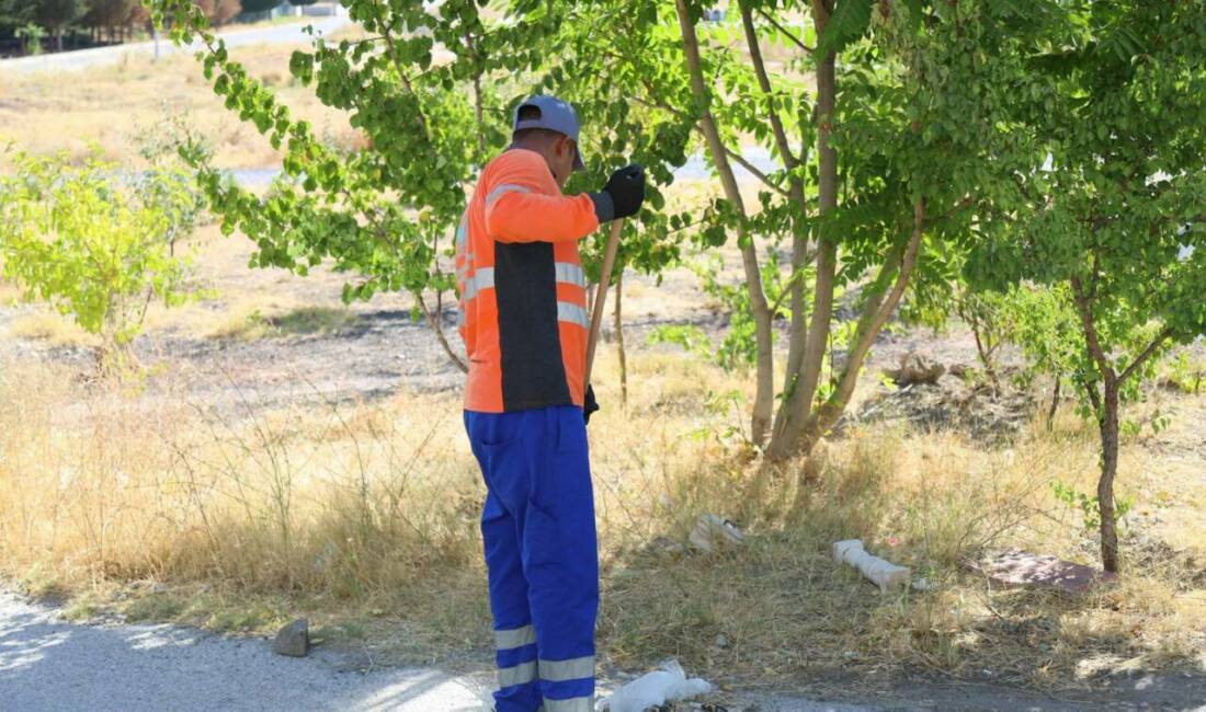 Aksaray Belediyesi, şehir genelindeki çevre temizliği çalışmaları kapsamında Yunus Emre