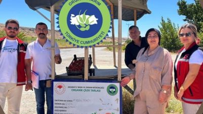 Aksaray İl Tarım ve Orman Müdürlüğü Bitkisel Üretim ve Bitki