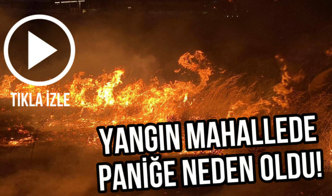 Otların tutuşmasıyla başlayan yangın mahallede paniğe yol açtı. İtfaiye hızla