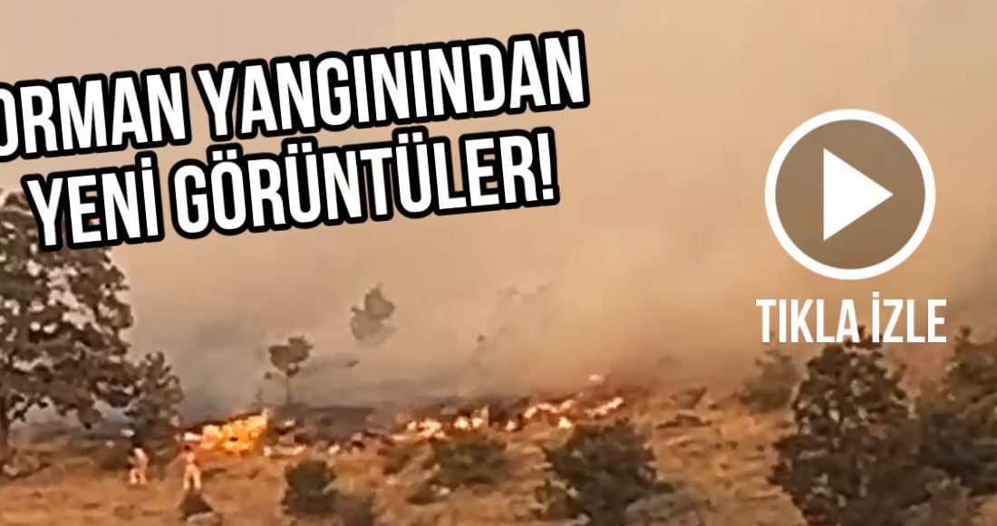 Orman yangınından yeni görüntüler! Aksaray’ın Karacaören ve Dikmen köyleri arasında başlayan yangın, rüzgarın etkisiyle