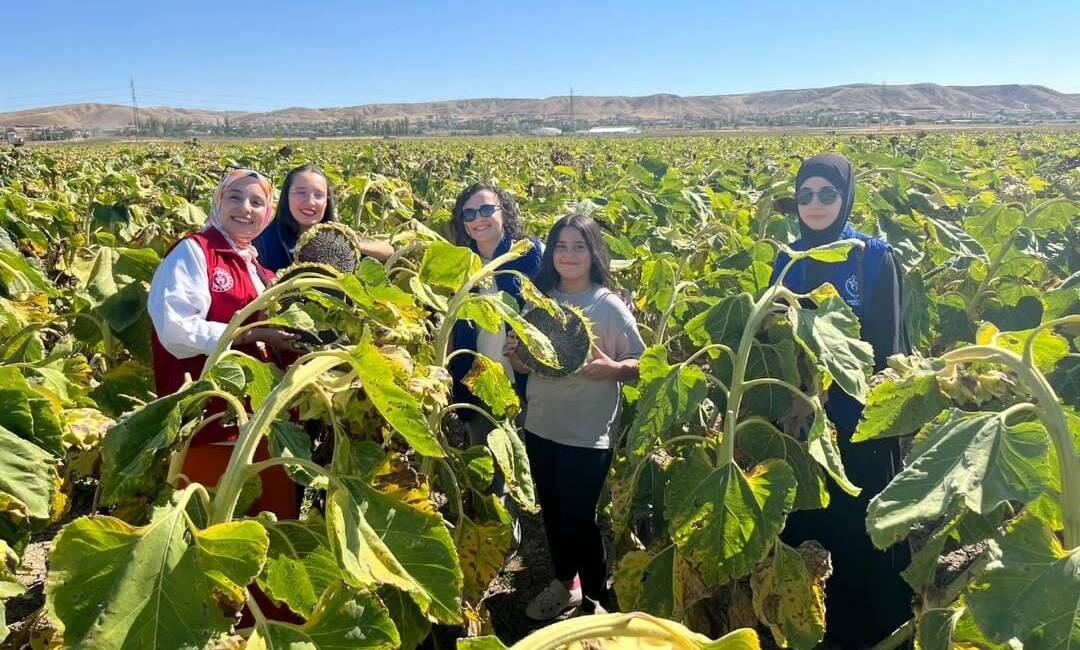 Aksaray Gençlik Merkezi, gönüllü gençleriyle birlikte gerçekleştirdiği “Gönüllü Hasat Etkinliği”