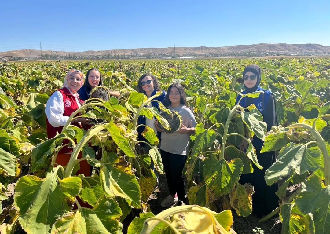 Aksaray Gençlik Merkezi, gönüllü gençleriyle birlikte gerçekleştirdiği “Gönüllü Hasat Etkinliği”