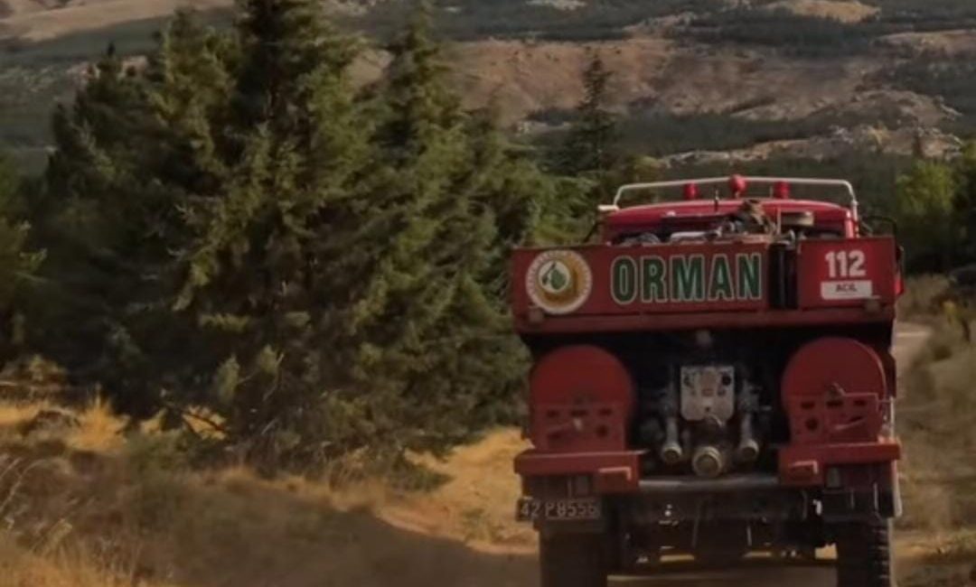 Aksaray Orman İşletme Müdürlüğü, özellikle ormanlık alanların ve kırsal bölgelerin