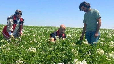 Tarımda kaliteyi ve verimliliği artırmak amacıyla sürdürülen denetim ve destek