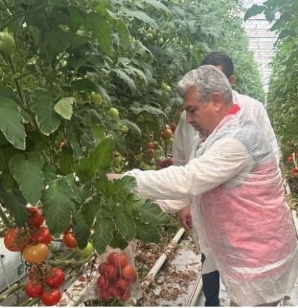Aksaray Tarım ve Orman İl Müdürlüğü ekipleri, il genelinde faaliyet